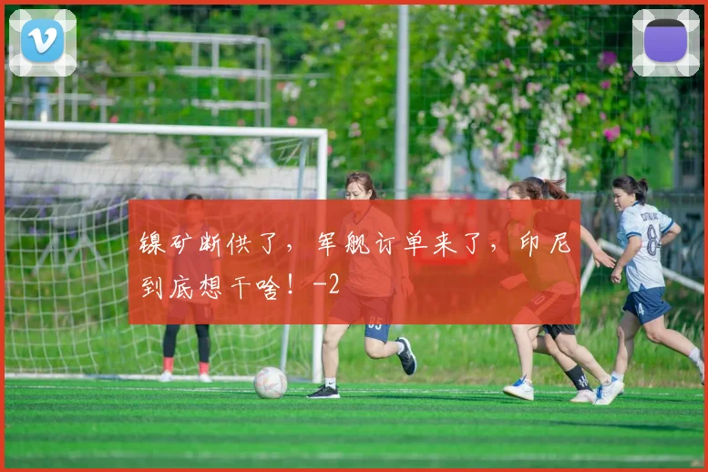 镍矿断供了，军舰订单来了，印尼到底想干啥！