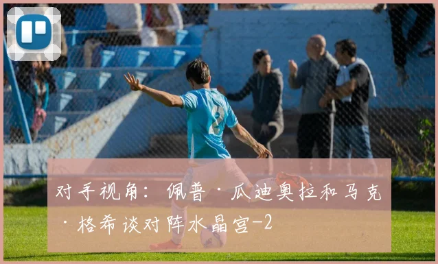 对手视角：佩普·瓜迪奥拉和马克·格希谈对阵水晶宫