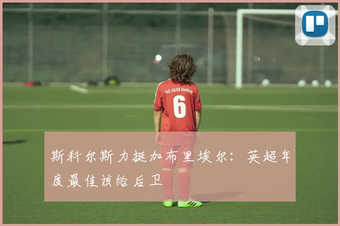 斯科尔斯力挺加布里埃尔:英超年度最佳该给后卫